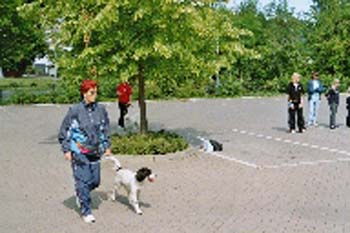 imm004_5